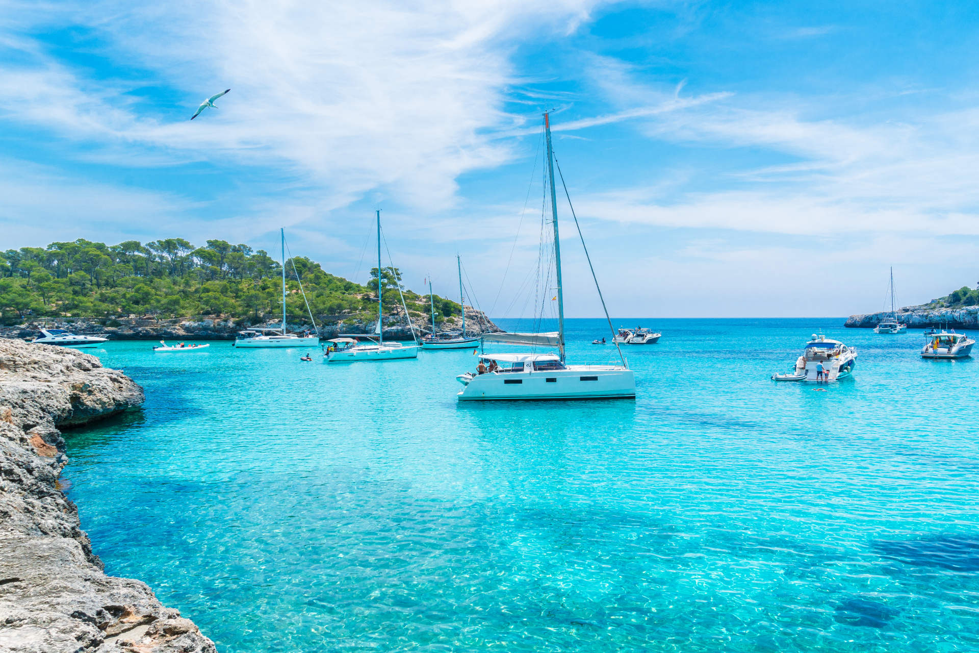 Segelyachten Bucht Mallorca